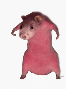 Ratred GIF