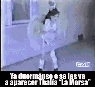 La Morsa Thalia GIF - La Morsa Thalia Puthalia - Discover & Share GIFs