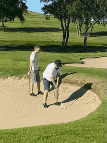 Nikkogolf GIF - Nikkogolf Golf GIFs