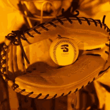 Zach Minnick Campbell Baseball GIF - Zach Minnick Campbell Baseball Roll Humps GIFs