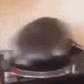 Vinylcat Catspinning GIF - Vinylcat Catspinning Spinningcat GIFs