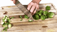 slicing brussels sprouts jill dalton the whole food plant based cooking show cutting ingredients preparing food