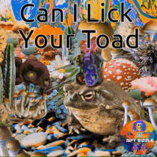 Lick Frog Suck Dick GIF