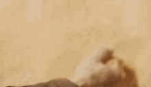 Dune Dune2021 GIF - Dune Dune2021 Paul Atreides GIFs