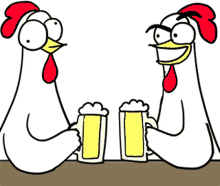 Chicken Chicken Bro GIF - Chicken Chicken Bro Beer GIFs