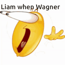 wagner liam