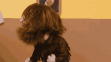 Walk Out The Sheepdogs GIF - Walk Out The Sheepdogs Keep On Loving You Song GIFs