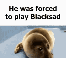 blacksad was