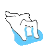 a white cat is crying and laying on its back .
