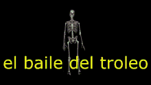Baile Del Troleo Esqueleto GIF