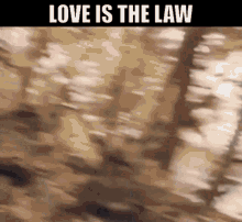 Love Is The Law The Suburbs GIF - Love Is The Law The Suburbs New Wave GIFs