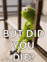 kermit the frog is sitting on a railing looking out of a window and says `` but did you die ? ''