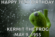 kermit the frog is looking out a window with rain drops on it