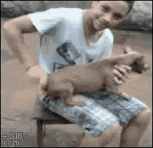 Wind Up Dog Haha GIF - Dogs Funny Spin GIFs