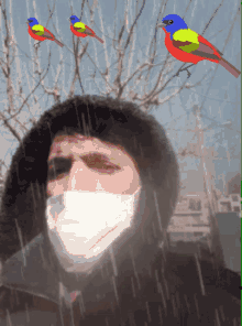 a man wearing a face mask with birds flying around him
