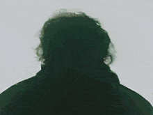a silhouette of a person standing in a field with trees in the background .