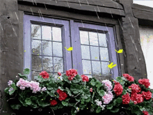 Window Flowers GIF - Window Flowers GIFs