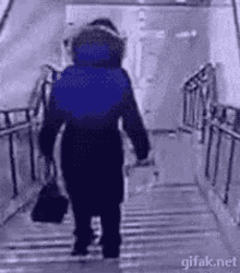 Falling Stairs GIF - Falling Stairs Going Down GIFs