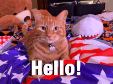 Hello Kitty GIF - Hello Kitty Orange Tabby GIFs