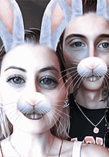Andy Back Scary Rabbit Filter GIF - Andy Back Scary Rabbit Filter With His Wife GIFs