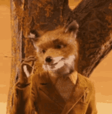 Fantastic Mr Fox Fox GIF