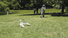 Wilfred I Will Kill You GIF - Wilfred I Will Kill You Come Here GIFs