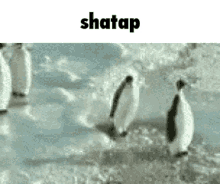 Shatap GIF