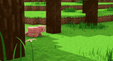 Minecraft Run GIF - Minecraft Run Pig GIFs