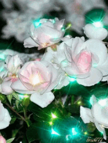 Floral GIF - Floral GIFs