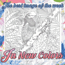 Happy Color In New Colors GIF - Happy Color In New Colors Coloring GIFs