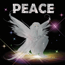 a picture of a woman with wings and the word peace