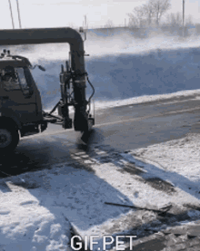Gif Pet Road GIF - Gif Pet Road Clearing The Road GIFs