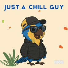 a cartoon of a parrot wearing sunglasses and a hat with the words just a chill guy above it