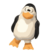 mad penguin walking