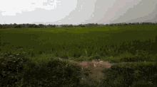 Agriculture GIF - Agriculture GIFs