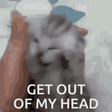 Get Out Of My Head GIF - Get Out Of My Head GIFs