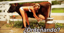 a woman in a bikini is milking a cow while holding a glass of wine .