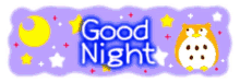 Goodnight GIF - Goodnight Night GIFs