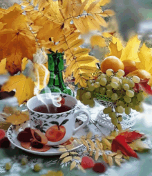 Tea Gyümölcs GIF - Tea Gyümölcs GIFs
