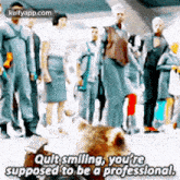 Quit Smiling, You'Tresupposed To Be A Professlonal..Gif GIF - Quit Smiling You'Tresupposed To Be A Professlonal. Person GIFs