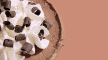 a chocolate cake with whipped cream and chocolate shavings