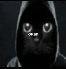 a black cat wearing a hoodie with the word okak written on its face