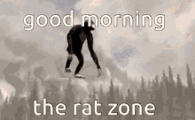 The Rat Zone Rat GIF - The Rat Zone The Rat Rat GIFs