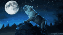 Full Moon GIF - Full Moon Dog Bulldog GIFs