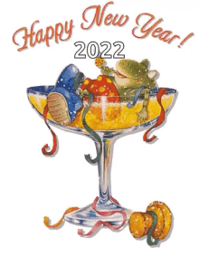 happy new year toad party