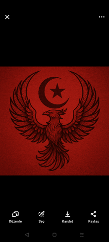 a picture of a bird with a crescent moon and star on it