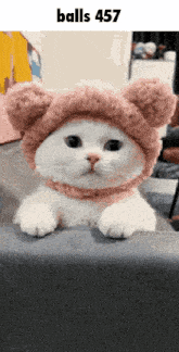 a white cat wearing a pink hat with the words balls 457 written above it