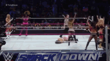 Brie Bella Vs Cameron, Summer Rae, Layla And Nikki Bella Full Match GIF - Wwe Brie Bella Nikki Bella GIFs