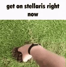 Stellaris Hop On GIF - Stellaris Hop On Mole GIFs