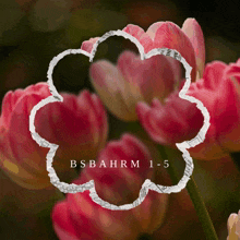 a drawing of a flower with the words bsbahrm 1-5
